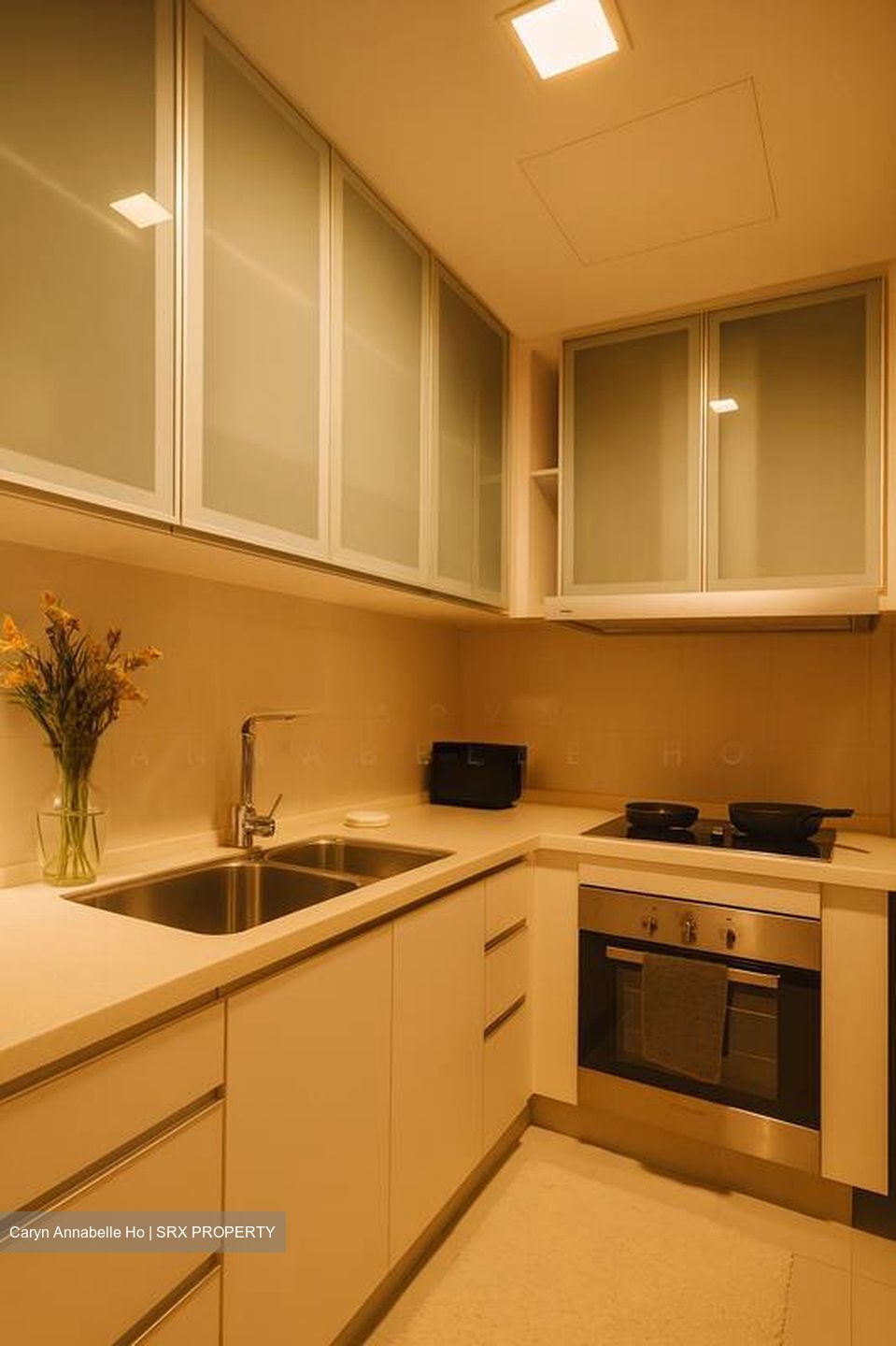 One Oxley Rise (D9), Apartment #501878831